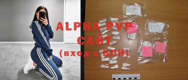 стаф Абинск