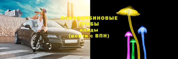 МДПВ Абдулино