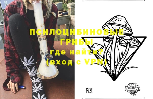 амф Абаза