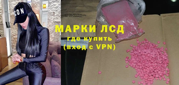 стаф Абинск