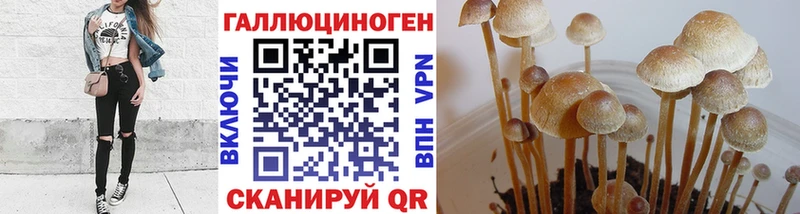 Псилоцибиновые грибы мухоморы  Ладушкин 