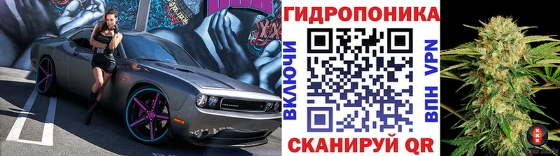 Конопля индика  как найти закладки  hydra ссылка  Ладушкин 